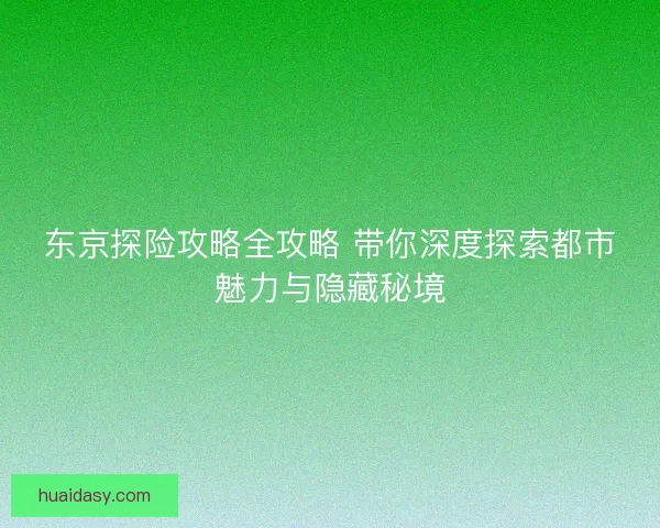 东京探险攻略全攻略 带你深度探索都市魅力与隐藏秘境